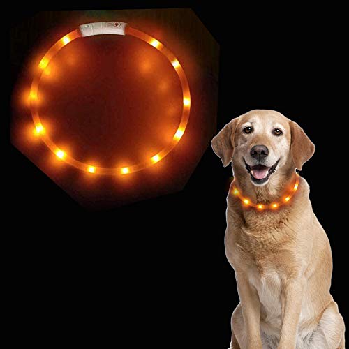 Dricar Leuchtender Hundehalsband, über USB wiederaufladbar, LED blinkendes Hundehalsband mit 3 Leuchtmodi, passend für kleine, mittelgroße und große Hunde Katzen (orange) von Dricar