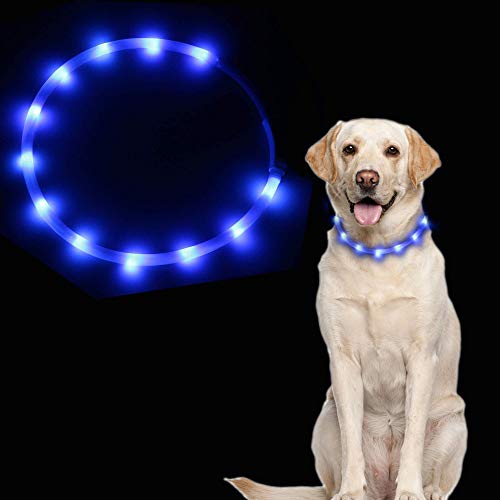 Dricar Leuchtender Hundehalsband, über USB wiederaufladbar, LED blinkendes Hundehalsband mit 3 Leuchtmodi, passend für kleine, mittelgroße und große Hunde Katzen (blau) von Dricar