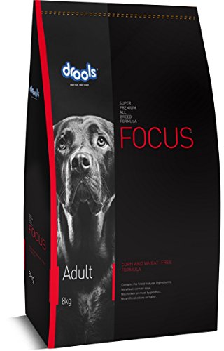 Drools Focus Adult Super Premium Dog Food, 8kg for All Breed Sizes for Dogs Preservative-Free von Drools