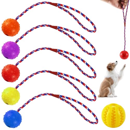 Drufoful 6 Stück Hundespielzeug Ball, Hundeball mit Schnur Naturkautschuk Wurfball für Hund Kauen Leckerli Ball für Hunde für Kleine und Große Hunde, mit 1 Futterball von Drufoful