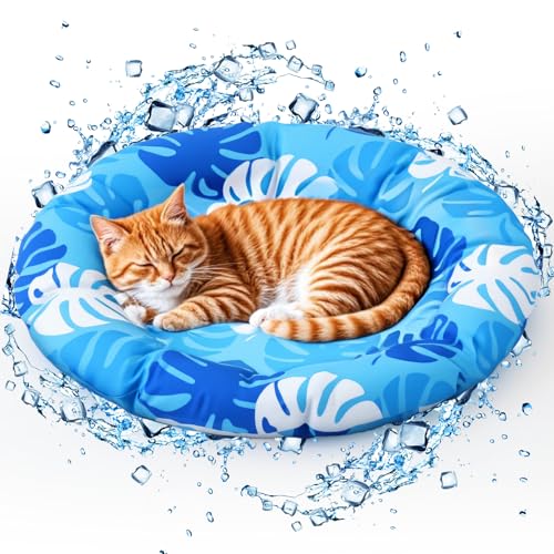 Drydiet Haustier-Kühlmatte für Katzen und kleine Hunde, 48 x 48 x 5 cm, sehr strapazierfähige Flüssiggel-Konstruktion, leicht, weich, bequem, verschleißfest, waschbar, gemütliches Schlafen für drinnen von Drydiet
