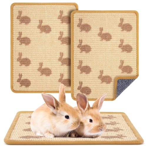Drydiet Kratzmatte für Kaninchen, natürliches Sisal, 40,6 x 30,5 cm, Kaninchenkratzmatte, Schleifkrallen- und Zahnpflegebretter für Meerschweinchen, Hamster, Ruhematten, Bettwäsche, Teppich von Drydiet