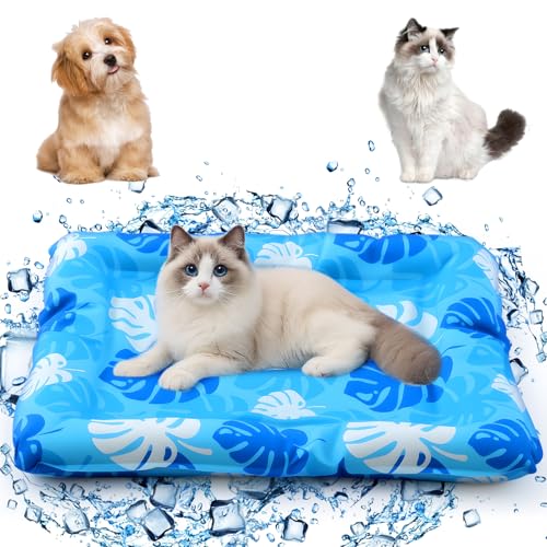 Drydiet Kühlmatte für große Katzen, 80 x 71 cm, verdicktes rechteckiges Polster, Anti-Greif-Innenkaltgel, ohne Wasserfüllung, leicht, waschbar, Spielmatte für drinnen und draußen von Drydiet