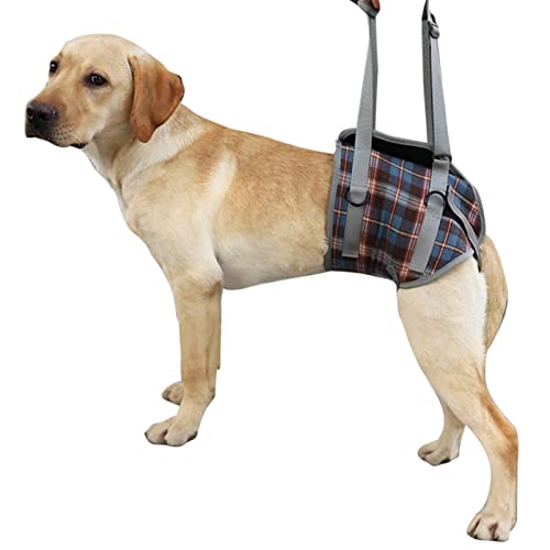 Dsacxixai Hundekabelbaum, Verstellbarer professioneller Plaid Blue Kabeless Hunde Anti -Traktion für den Wanderweg im Freien für Wanderwanderungen (L (20–30 kg / 44.1-66,1lb empfohlen)) von Dsacxixai