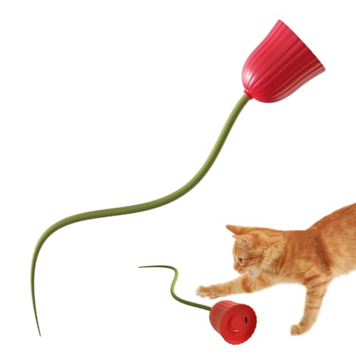 Dtaigou CAT Interactive Toys, Interactive Toys für Katzen | Automatische Bewegung Rolling Toy,Tragbarer USB -wiederaufladbarer Kätzchenkugel mit Schwanz für gelangweilte Innenräume für Erwachsene Dtaigou CAT Interactive Toys, Interactive Toys für Katzen | Automatische Bewegung Rolling Toy,Tragbarer USB -wiederaufladbarer Kätzchenkugel mit Schwanz für gelangweilte Innenräume für Erwachsene von Dtaigou
