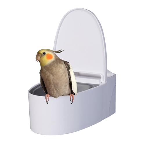 Dtaigou Haustier Vogel Toiletten Trainer,Wandmontierter Toilettentrainer Für Vögel | Abnehmbarer Futterplatz Mit Futterkorb Für Wellensittiche, Nymphensittiche von Dtaigou