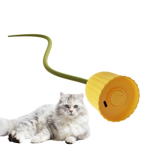 Dtaigou Interaktives Spielzeug für Katzen, automatische Katzenspielzeug,Automatische Bewegung Rolling Toy - Tragbarer USB -wiederaufladbarer Kätzchenkugel mit Schwanz für gelangweilte Innenräume für Dtaigou Interaktives Spielzeug für Katzen, automatische Katzenspielzeug,Automatische Bewegung Rolling Toy - Tragbarer USB -wiederaufladbarer Kätzchenkugel mit Schwanz für gelangweilte Innenräume für von Dtaigou