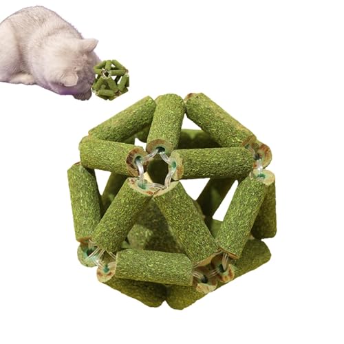Dtaigou Katzenminze-Spielzeug für Katzen, Katzen-Katzenminze-Spielzeug | Natürliche Silvervine Stick Cage Balls,Bälle mit Katzenminze, bissfestes Kauspielzeug, natürliche Silvervine-Stäbchenkäfigbälle Dtaigou Katzenminze-Spielzeug für Katzen, Katzen-Katzenminze-Spielzeug | Natürliche Silvervine Stick Cage Balls,Bälle mit Katzenminze, bissfestes Kauspielzeug, natürliche Silvervine-Stäbchenkäfigbälle von Dtaigou