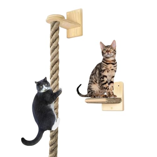 Dtaigou Katzenseil Zum Klettern - Klettermöbel Spielturm Für Kitten - Ruhe- Und Sprungleiter Mit Kratzfläche, Wandmontierte Kratzmöbel Für Junge Katzen von Dtaigou