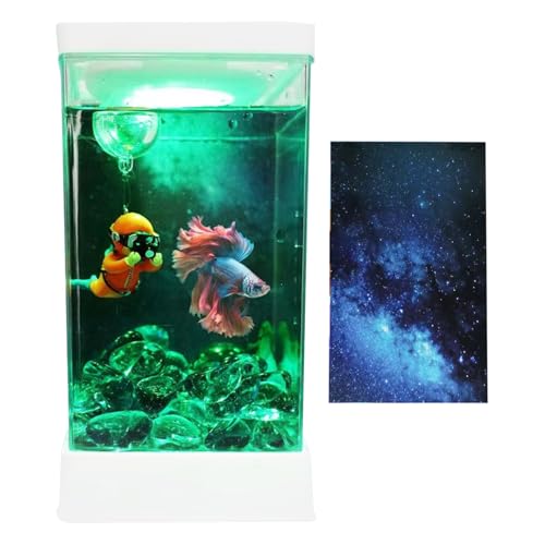 Dtaigou Kleines Betta Fisch Aquarium - Kampffischbecken Set Mit Filter & Beleuchtung - Tischlandschaft Deko Für Wohnzimmer, Büro Und Wohnung Mit Modernem Design von Dtaigou