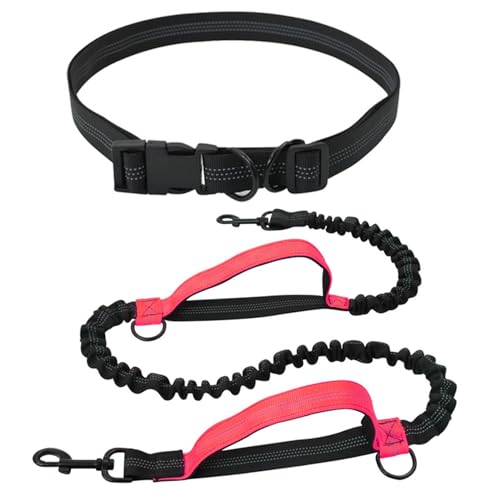 Dtaigou Laufseil für Hunde, freihändig, Gürtel, Laufseil für Hunde - Elastisches Zugseil für Hunde,Multifunktionales freihändiges Hundeseil, reflektierendes Hundeseil zum Gehen, Laufen, Training Dtaigou Laufseil für Hunde, freihändig, Gürtel, Laufseil für Hunde - Elastisches Zugseil für Hunde,Multifunktionales freihändiges Hundeseil, reflektierendes Hundeseil zum Gehen, Laufen, Training von Dtaigou