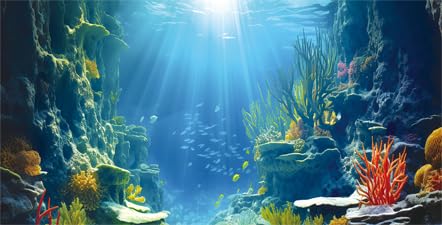 Dtekoj Aquarium-Hintergrund, 183 x 61 cm, blauer Meeresboden, natürliche Unterwasserwelt, 3D-Effekt, Aquarium-Dekoration, Hintergrund, Kunst-Terrarium-Hintergrund mit 8 doppelseitigem EVA-Klebeband Dtekoj Aquarium-Hintergrund, 183 x 61 cm, blauer Meeresboden, natürliche Unterwasserwelt, 3D-Effekt, Aquarium-Dekoration, Hintergrund, Kunst-Terrarium-Hintergrund mit 8 doppelseitigem EVA-Klebeband von Dtekoj