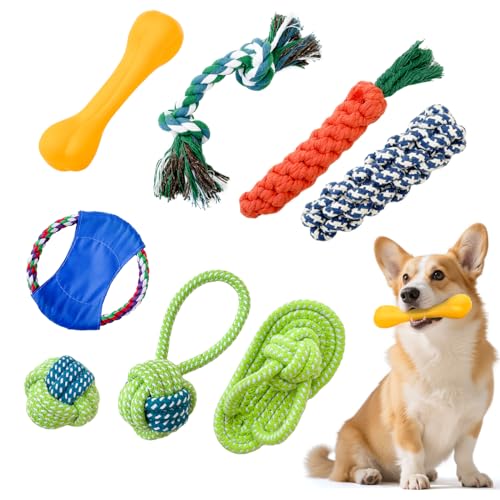 Kauspielzeug für Hunde, robust, Seilspielzeug für kleine und mittelgroße Hunde, interaktives Kauspielzeug mit Baumwolle, robustes Tauziehen, 8 Stück Kauspielzeug für Hunde, robust, Seilspielzeug für kleine und mittelgroße Hunde, interaktives Kauspielzeug mit Baumwolle, robustes Tauziehen, 8 Stück von Dttra
