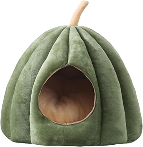 RAHBI Katzenbett für den Innenbereich, Katzenbett, geschlossene Katze mit abnehmbarem, waschbarem, gepolstertem Kissen, rutschfestes Katzenbett mit Cartoon-Kürbis-Design (Grün) von Dttra