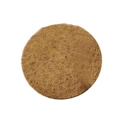 Dualoai 2X, Hohl, Vogel Eier Tank, Nistschale für Papagei, Kleine Vögel, Wachteln, Haustier Käfig Zubehör Dualoai 2X, Hohl, Vogel Eier Tank, Nistschale für Papagei, Kleine Vögel, Wachteln, Haustier Käfig Zubehör von Dualoai