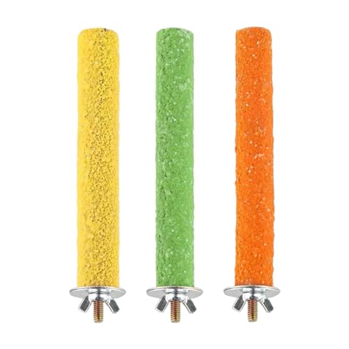 Dualoai 3X Pet Papagei Barsch Vogel Stehen Papageien Stehen Spielzeug Vogel Käfig Barsch Kanarienvögel Papageien Dualoai 3X Pet Papagei Barsch Vogel Stehen Papageien Stehen Spielzeug Vogel Käfig Barsch Kanarienvögel Papageien von Dualoai