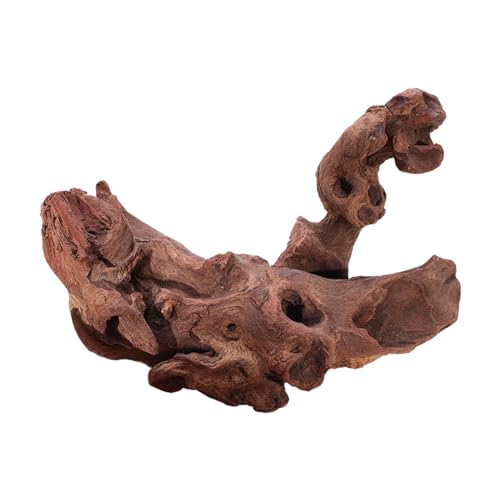 Dualoai Aquarium Treibholz Holzstamm Ornament, Treibholz Dekor Reptilienzweig Aquarium Dekoration, 20cm bis 25cm von Dualoai