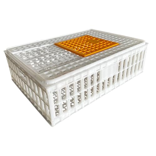 Dualoai Geflügeltransportbox für Hühner Und Kleintiere, Weiß Höhe 23cm Dualoai Geflügeltransportbox für Hühner Und Kleintiere, Weiß Höhe 23cm von Dualoai
