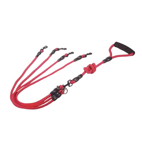 Dualoai Hundeleine mit Ergonomischem Griff für Verschiedene Hunderassen, Eins bis Dualoai Hundeleine mit Ergonomischem Griff für Verschiedene Hunderassen, Eins bis von Dualoai