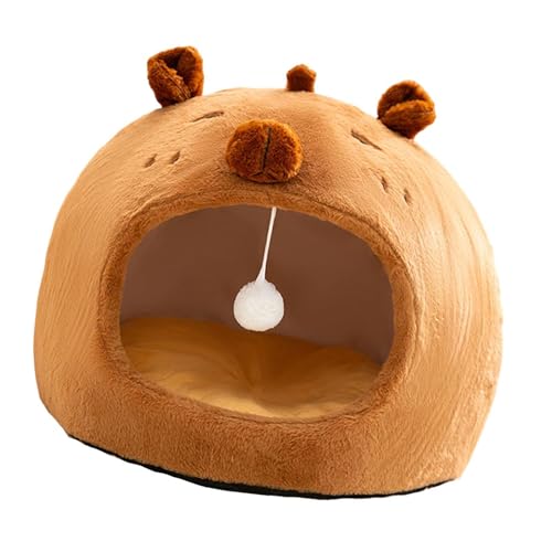 Dualoai Innenkatzenbett, Katzenzelt, Katzenhaus, Schlafbett für Hunde, Kätzchen Und, L Dualoai Innenkatzenbett, Katzenzelt, Katzenhaus, Schlafbett für Hunde, Kätzchen Und, L von Dualoai