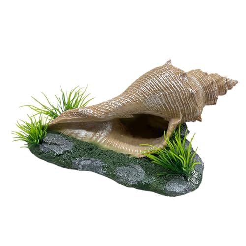 Dualoai Oceanic Delight Korallenskulptur für Aquarien, Einfache Pflege Und Dekoration, Rechteckige Muschel Dualoai Oceanic Delight Korallenskulptur für Aquarien, Einfache Pflege Und Dekoration, Rechteckige Muschel von Dualoai