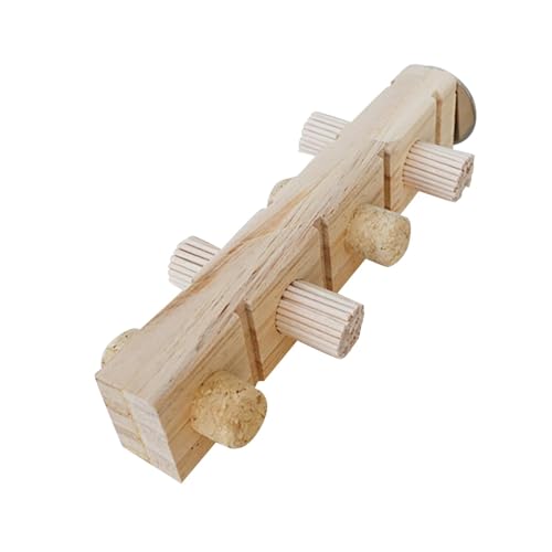 Dualoai Papageiensitzstange Aus Holz, Interaktives Spielzeug für Kleine Vögel, Unlackiert Dualoai Papageiensitzstange Aus Holz, Interaktives Spielzeug für Kleine Vögel, Unlackiert von Dualoai
