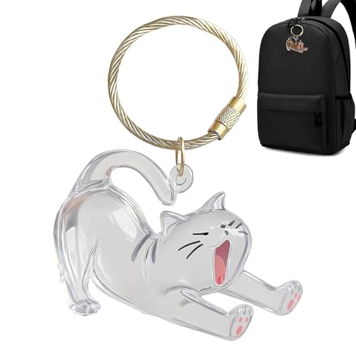 Dubbulon Hundefussel-Entferner Schlüsselanhänger | Transparente Katzenhaar Sammelflasche,Haustier Andenken Flasche Schlüsselring Geschenk für Kinder Frauen Erwachsene zu Feiertagen Geburtstag Reisen von Dubbulon