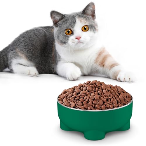 Ducksky Futternapf für Katzen, erhöht, Edelstahl, für kleine Kätzchen und Welpen, Grün Ducksky Futternapf für Katzen, erhöht, Edelstahl, für kleine Kätzchen und Welpen, Grün von DuckSky