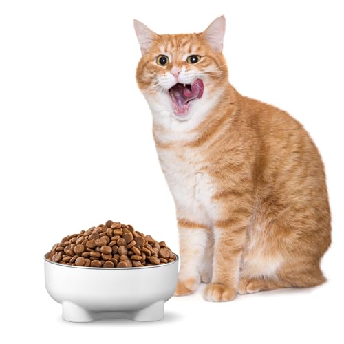Ducksky Futternapf für Katzen, erhöht, Edelstahl, für kleine Kätzchen und Welpen, Weiß Ducksky Futternapf für Katzen, erhöht, Edelstahl, für kleine Kätzchen und Welpen, Weiß von DuckSky