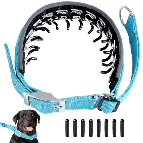 Duckygoo Strapazierfähiges Halsband zum Trainieren – verstellbares, verbreitertes Nylon-Martingal mit reflektierenden Streifen und Metallschnalle, Design für kleine bis große Hunde, Blau, Größe XL Duckygoo Strapazierfähiges Halsband zum Trainieren – verstellbares, verbreitertes Nylon-Martingal mit reflektierenden Streifen und Metallschnalle, Design für kleine bis große Hunde, Blau, Größe XL von Duckygoo