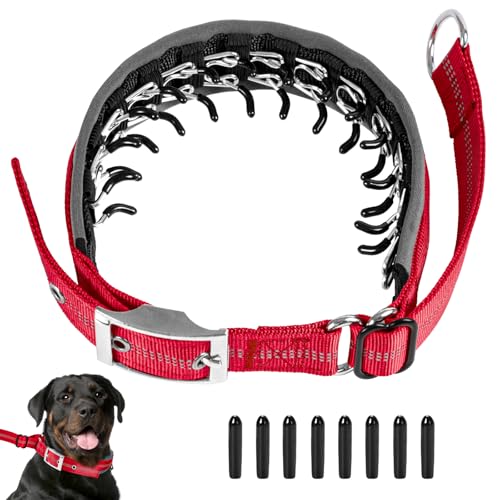 Duckygoo Strapazierfähiges Halsband zum Trainieren – verstellbares, verbreitertes Nylon-Martingal mit reflektierenden Streifen und Metallschnalle, Design für kleine bis große Hunde, Rot, Größe XL Duckygoo Strapazierfähiges Halsband zum Trainieren – verstellbares, verbreitertes Nylon-Martingal mit reflektierenden Streifen und Metallschnalle, Design für kleine bis große Hunde, Rot, Größe XL von Duckygoo