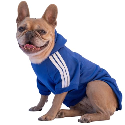 Ducomi Hundepullover mit Kapuze für alle Größen und Rassen - Warmes und Weiches Hundekleidungsstück - Einfarbiger Pullover für Haustiere und Welpen (Blau, S) von Ducomi