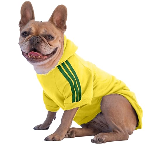 Ducomi Hundepullover mit Kapuze für alle Größen und Rassen - Warmes und Weiches Hundekleidungsstück - Einfarbiger Pullover für Haustiere und Welpen (Gelb, M) von Ducomi