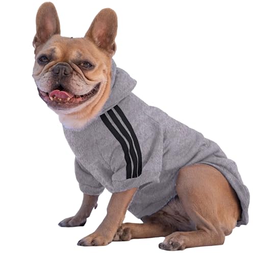 Ducomi Hundepullover mit Kapuze für alle Größen und Rassen - Warmes und Weiches Hundekleidungsstück - Einfarbiger Pullover für Haustiere und Welpen (Grau, 2XL) von Ducomi