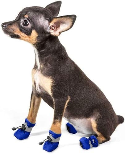 Ducomi Rutschfeste Schuhe für Hunde, wasserdicht und atmungsaktiv, Innenfutter und rutschfeste Gummisohle, atmungsaktiv, mit Leder (Blau, Größe: L) von Ducomi