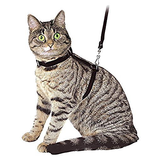 Ducomi Silvestro Katzengeschirr mit Leine Ausbruchsicher – 105 cm - Katzenleine mit Geschirr für Katzen, Kaninchen und Welpen - Verlängerbarer (Black) von Ducomi