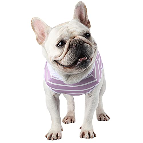 Due Felice Hunde-Erholungsanzug, Welpen-Einteiler nach der Operation, Haustier-E-Halsband-Alternative für weibliche und männliche Hunde von Due Felice