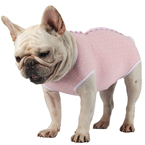 Due Felice Hundewindeln, Hygiene-Höschen, Einteiler, Einteiler für Haustiere, nach Operationen, rosa Punkte/XL von Due Felice