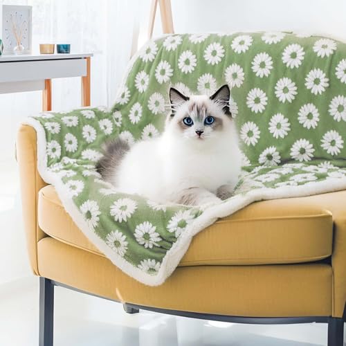 Due Felice Wasserdichte Hundedecke für kleine, mittelgroße und große Hunde, Fleece, Katzendecken für Innenkatzen, waschbar, flauschig, Haustierbettdecke, Möbel, Sofa, Couchbezug, Schutz, grüne Blume, von Due Felice