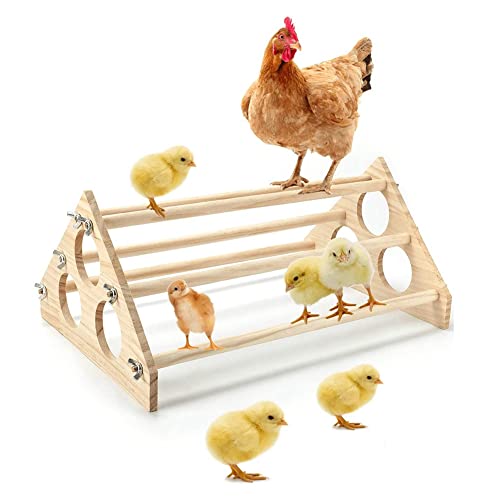 Duendhd Hühnerstange aus Holz, robust, handgefertigt, für Bruter, Stall, 39,4 x 26,9 x 17,8 cm Duendhd Hühnerstange aus Holz, robust, handgefertigt, für Bruter, Stall, 39,4 x 26,9 x 17,8 cm von Dasing