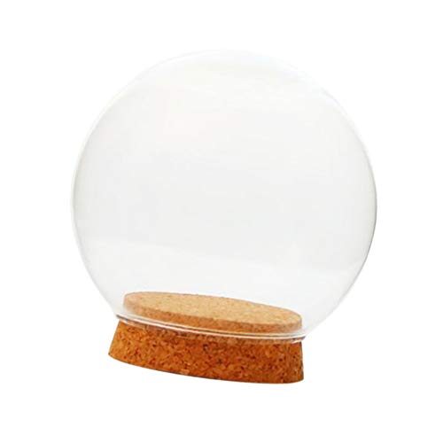Duiaynke Glas-Terrarium-Behälter, Kuppelabdeckung, Miniatur-Ausstellungsglas mit Holzkorken (15 cm) von Duiaynke
