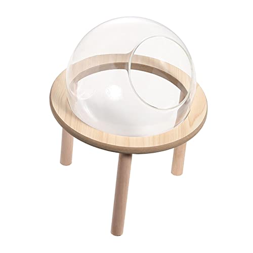 Duiaynke Hamster-Sand-Badebehälter, Badezimmer, Holztoilette, Haustierspielzeug, transparent, Kleintierbad für Chinchilla-Rennmäuse (12 cm) von Duiaynke