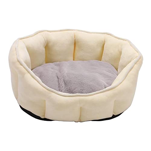 Duiaynke Kleines Hundebett für Hunde, Katzen, Kätzchen und Welpen, maschinenwaschbar, gemütliches Plüsch-Hundebett zum Spielen, Entspannen, 46 x 46 x 23 cm Duiaynke Kleines Hundebett für Hunde, Katzen, Kätzchen und Welpen, maschinenwaschbar, gemütliches Plüsch-Hundebett zum Spielen, Entspannen, 46 x 46 x 23 cm von Duiaynke