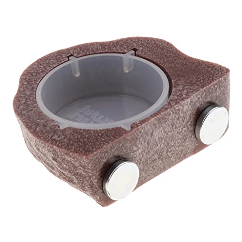 Duiaynke Waschbarer Kunststoff-Futternapf – Mini-Futtertasse, Zubehör für Gecko und Eidechsenspinne Duiaynke Waschbarer Kunststoff-Futternapf – Mini-Futtertasse, Zubehör für Gecko und Eidechsenspinne von Duiaynke