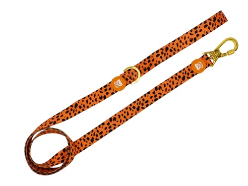 DUKIER - Hundeleine, ausziehbares Zubehör für Haustiere, lang und robust, mit Sicherheits-Klickhaken, Neopren, Cheetah Gold Design, Größe S DUKIER - Hundeleine, ausziehbares Zubehör für Haustiere, lang und robust, mit Sicherheits-Klickhaken, Neopren, Cheetah Gold Design, Größe S von Dukier