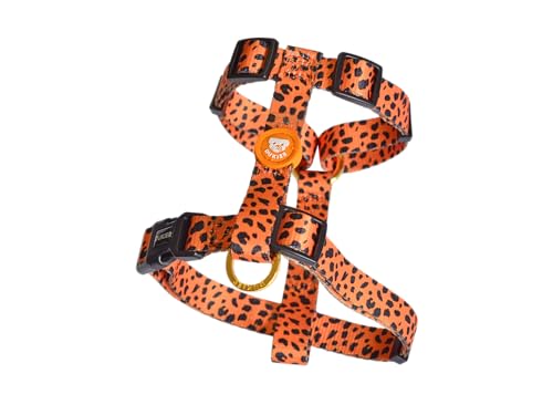 Dukier Geschirr mit Zugentlastung, Basic für Hunde, klassisches Geschirr, Leopard, Gold, L Dukier Geschirr mit Zugentlastung, Basic für Hunde, klassisches Geschirr, Leopard, Gold, L von Dukier