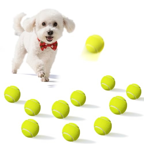 Dukuueie Kleine Tennisbälle für Hunde, 10 Stück, leicht zu fangen, für Bewegung und Training, Hunde-Tennisbälle 5,1 cm Dukuueie Kleine Tennisbälle für Hunde, 10 Stück, leicht zu fangen, für Bewegung und Training, Hunde-Tennisbälle 5,1 cm von Dukuueie
