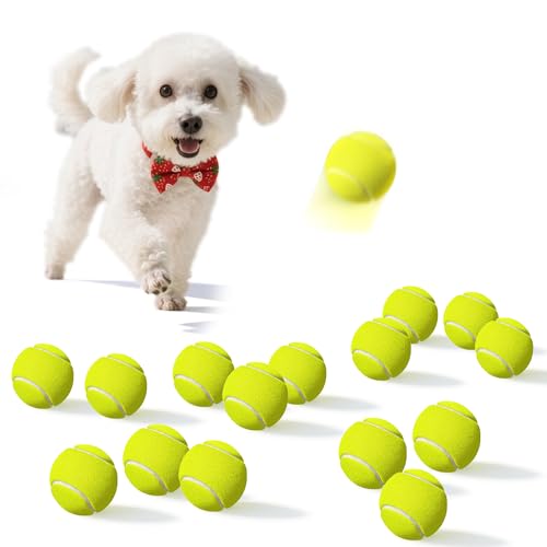Dukuueie Kleine Tennisbälle für Hunde, 15 Stück, leicht zu fangen, für Bewegung und Training, Hunde-Tennisbälle 5,1 cm Dukuueie Kleine Tennisbälle für Hunde, 15 Stück, leicht zu fangen, für Bewegung und Training, Hunde-Tennisbälle 5,1 cm von Dukuueie