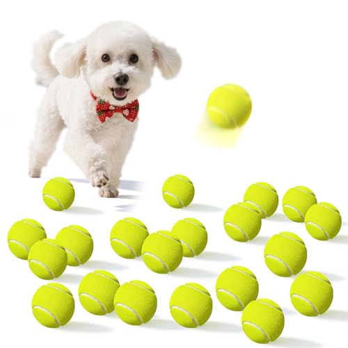 Dukuueie Kleine Tennisbälle für Hunde, 20 Stück, leicht zu fangen, für Bewegung und Training, Hunde-Tennisbälle 5,1 cm Dukuueie Kleine Tennisbälle für Hunde, 20 Stück, leicht zu fangen, für Bewegung und Training, Hunde-Tennisbälle 5,1 cm von Dukuueie