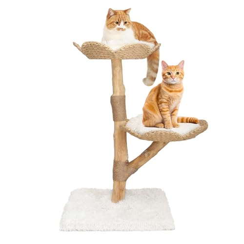 Duneasypet Katzenbaum aus Holz, moderner Katzenkletterturm für Indoor-Katzen mit 2 Sitzstangen, 91.4 cm hoch, mehrstufige Katzenturm-Möbel, kleine Katzen, Geschenk für Katzenliebhaber von Duneasypet